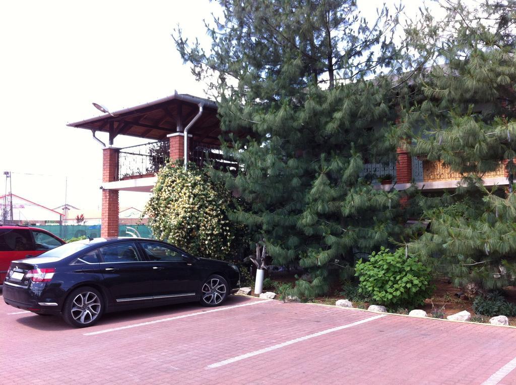 Tenisz Apartment 韦切什 外观 照片